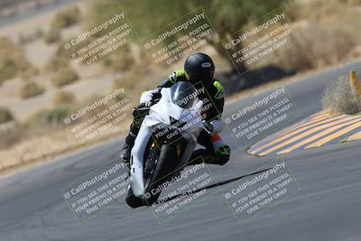 media/May-14-2023-SoCal Trackdays (Sun) [[024eb53b40]]/Turn 5 Tree of Life (1125am)/